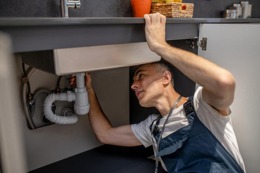 Eco-Friendly Drain Maintenance: ShowerShroom, SinkShroom, and Kitchen SinkShroom Strainers