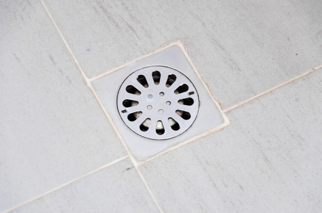 The Easiest Way to Maintain a Clean Shower Drain