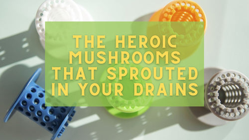 The Heroic Mushrooms that Sprouted in Your Drains