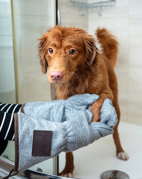 Pet-Friendly Solutions: How TubShroom Improves Pet Grooming and Bathing Routines