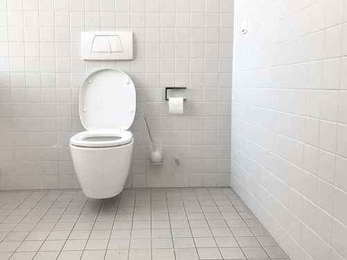 3 Types of Toilet Plungers and the Proper Way of Using Them