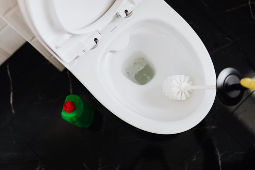 10 Simple Steps on How to Effectively Plunge a Toilet