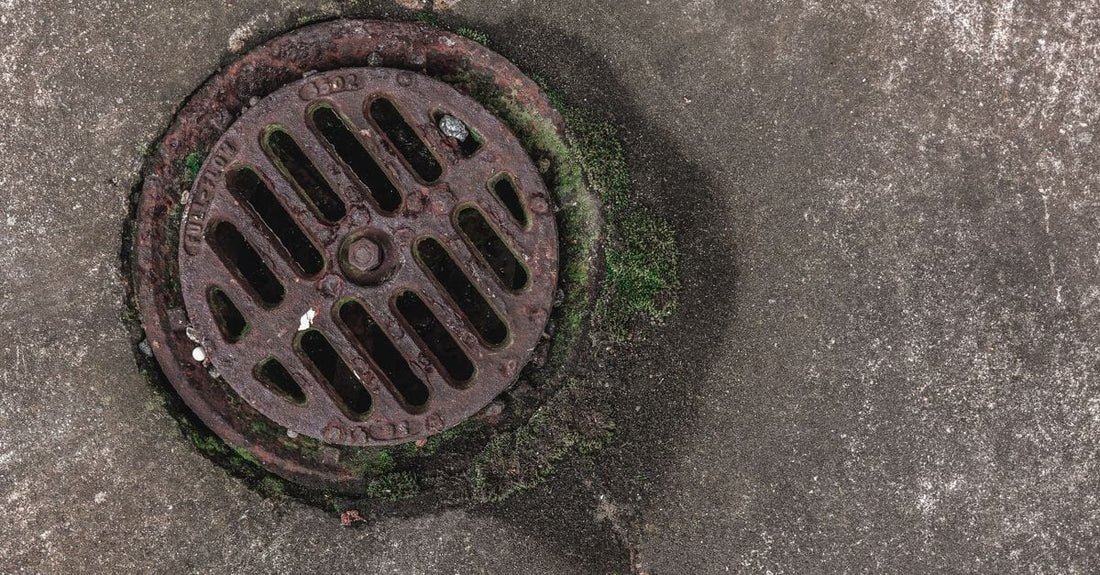 In-Drain vs Over-Drain Hair Catchers: Which Design Works Better?