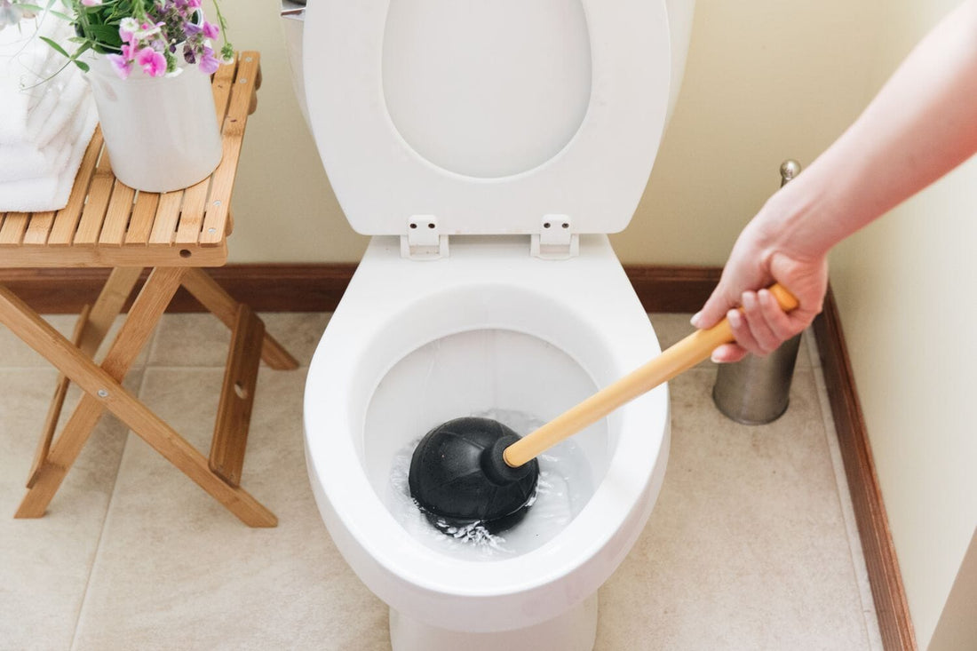 4 Reasons Your Toilet Won't Flush: Call a Plumber for Reliable Solutions