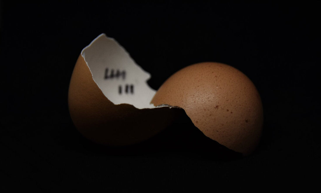 6 Things You Should Never Put Down Your Garbage Disposal