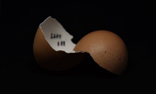 6 Things You Should Never Put Down Your Garbage Disposal