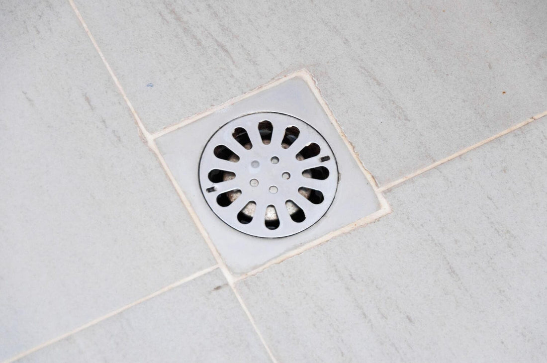 ShowerShroom: The Ultimate Solution for Hair-Free Drains
