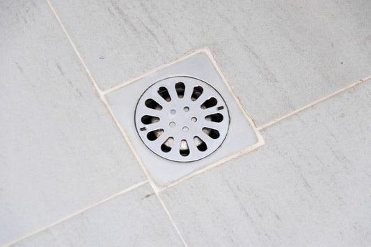 Why Does My Shower Drain Smell Like Rotten Eggs? (Causes + Fixes)